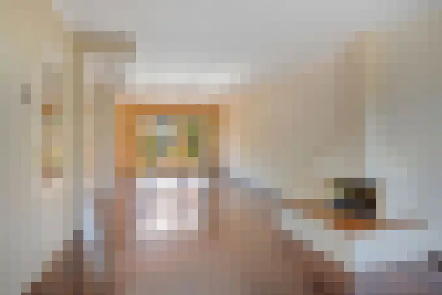 J.J. van Nesstraat 1 Castricum thumbnail 4