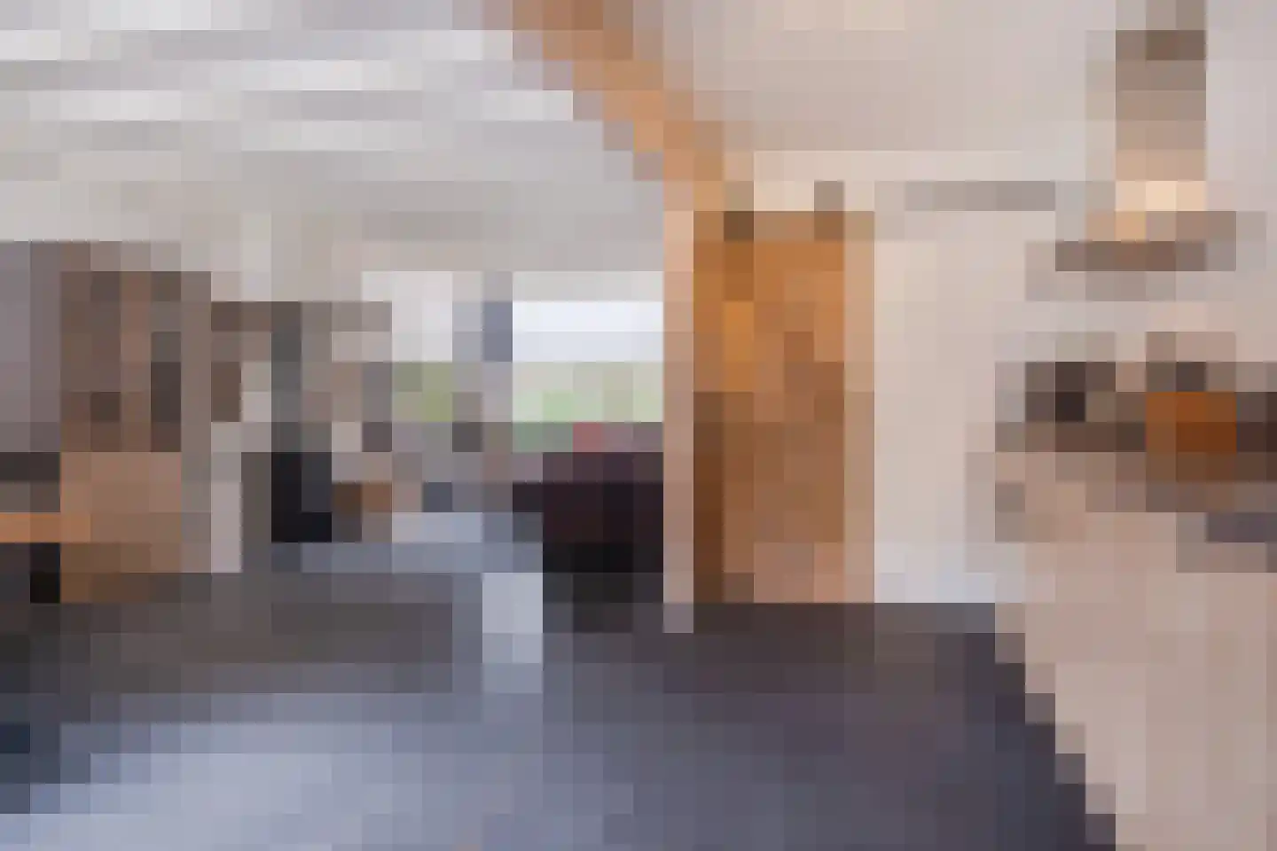 J.J. Verbeetenstraat 27 Best thumbnail 10