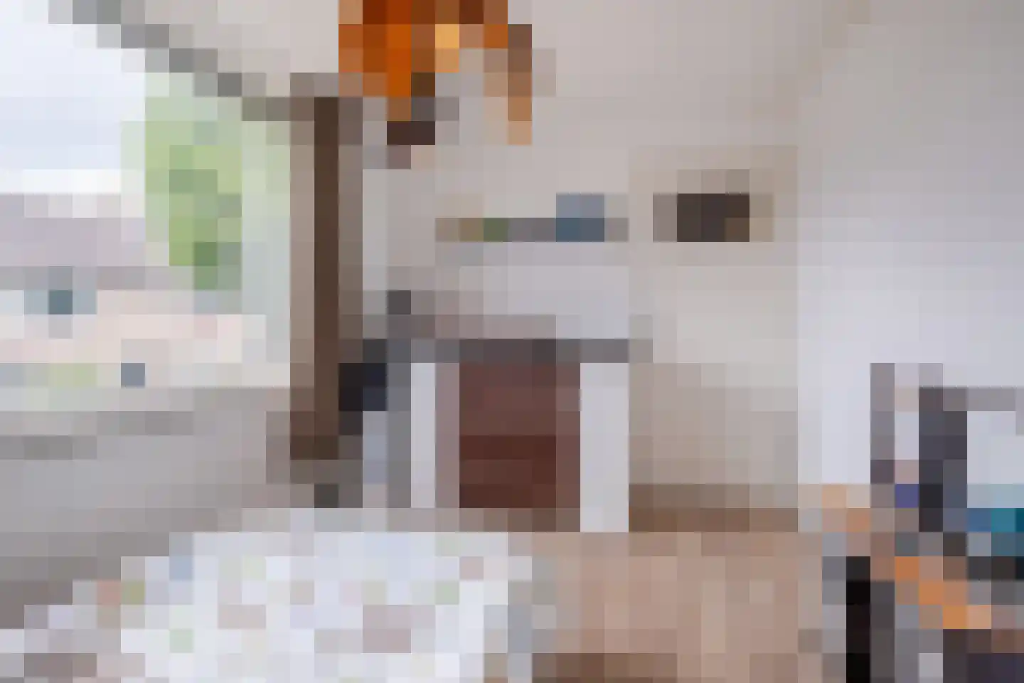 J.J. Verbeetenstraat 27 Best thumbnail 17
