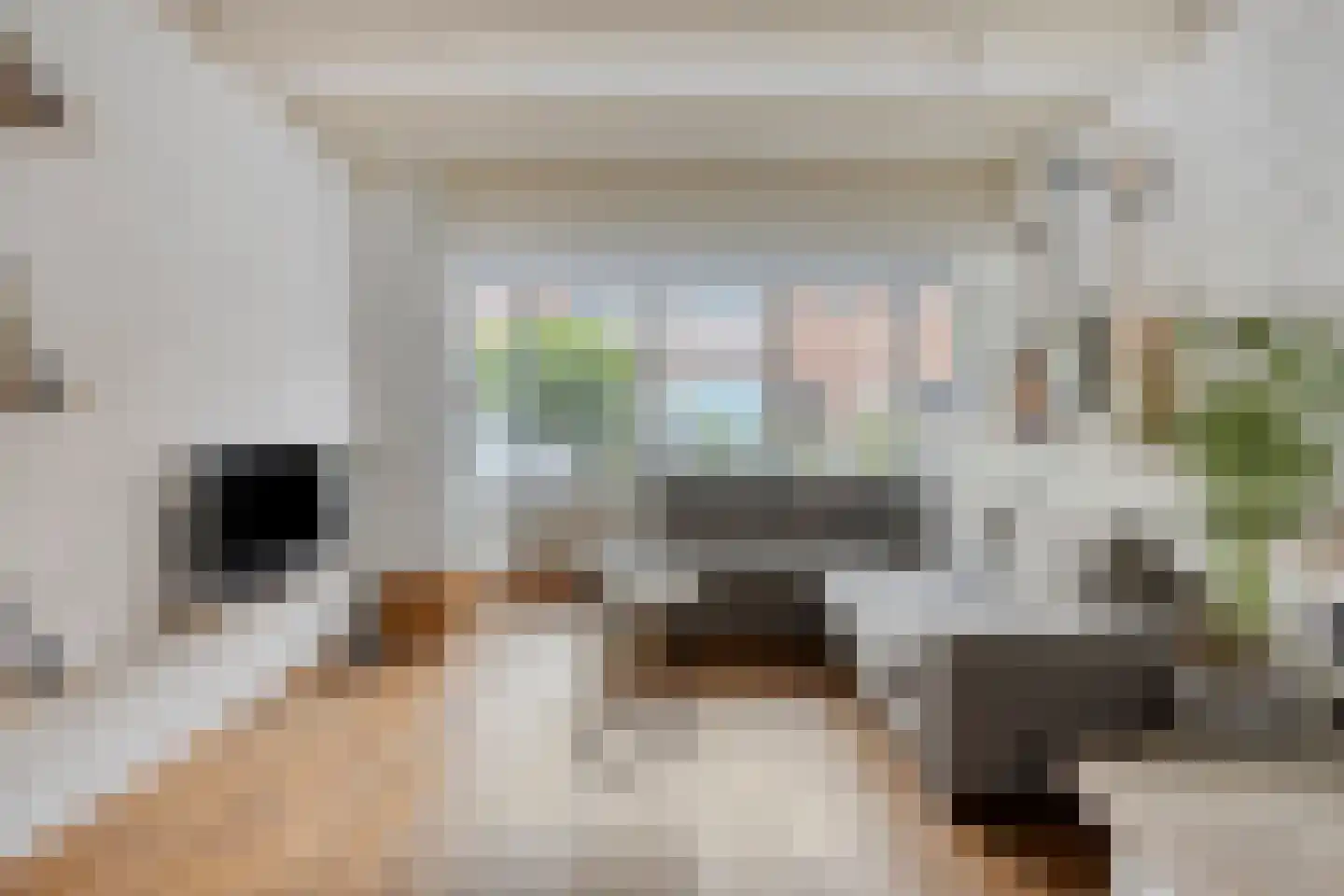 J.J. Verbeetenstraat 4 Best thumbnail 11