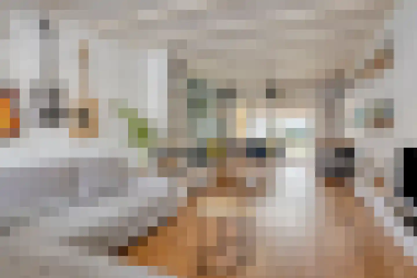 J.J. Verbeetenstraat 4 Best thumbnail 12