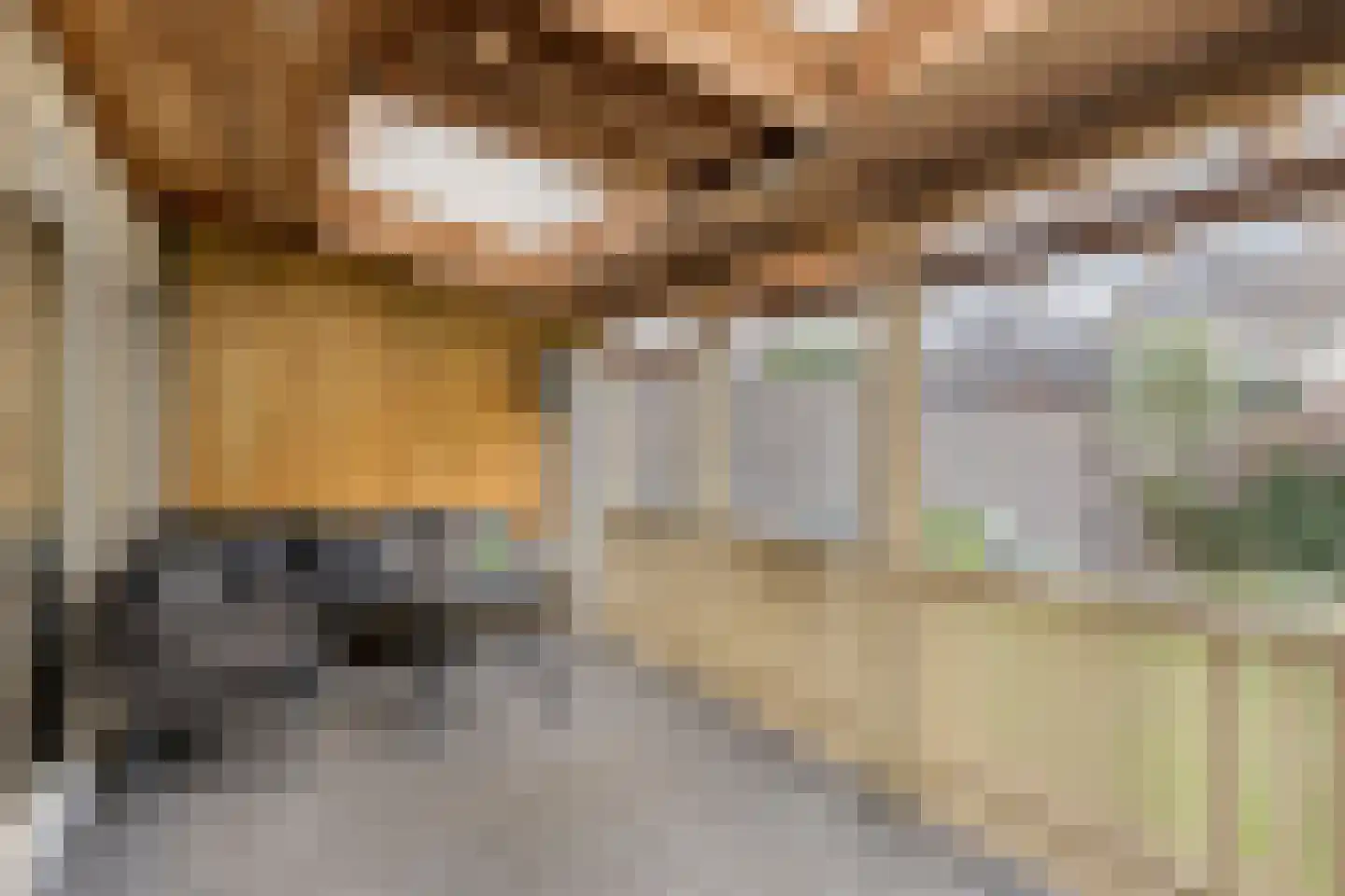 J.J. Verbeetenstraat 4 Best thumbnail 29
