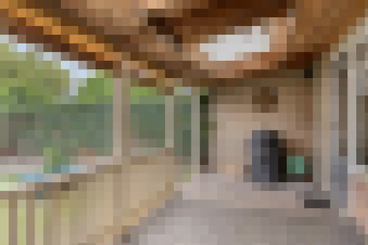 J.J. Verbeetenstraat 4 Best thumbnail 30