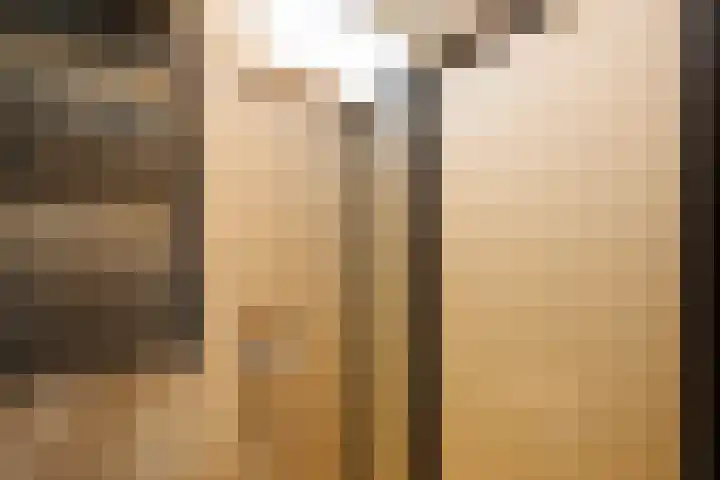 J.J. Verbeetenstraat 7 Best thumbnail 26