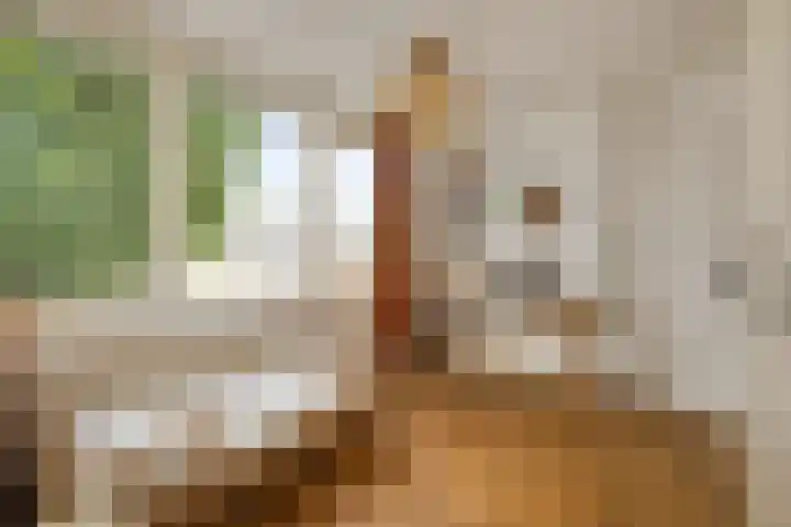 J.J. Verbeetenstraat 7 Best thumbnail 29