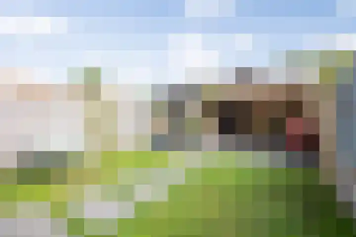 J.J. Verbeetenstraat 7 Best thumbnail 44
