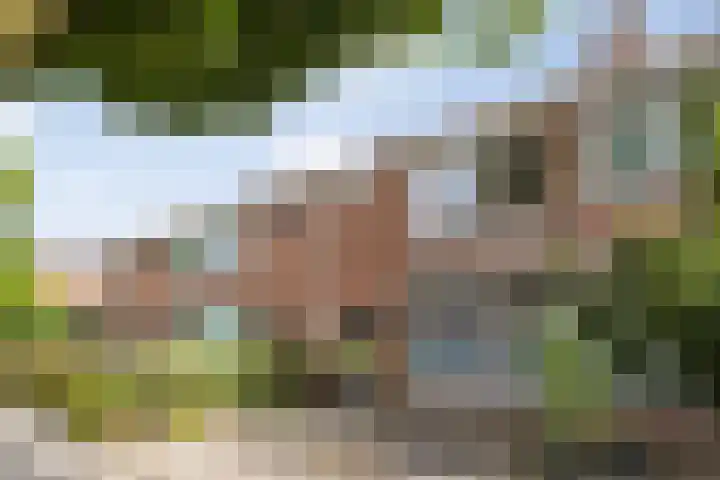 J.J. Verbeetenstraat 7 Best thumbnail 52