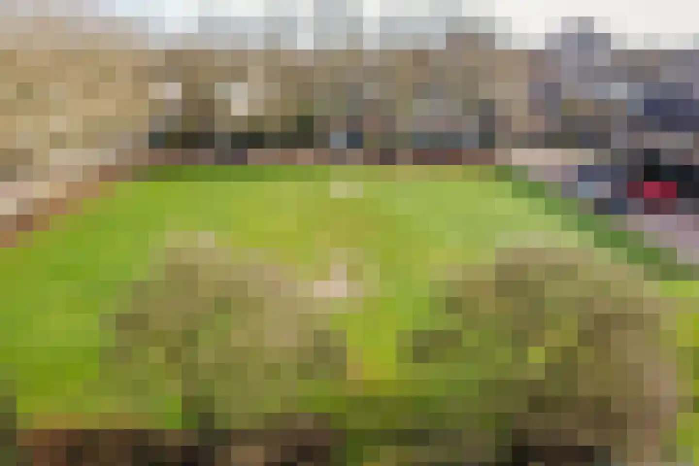 J.J. Verbeetenstraat 8 Best thumbnail 24