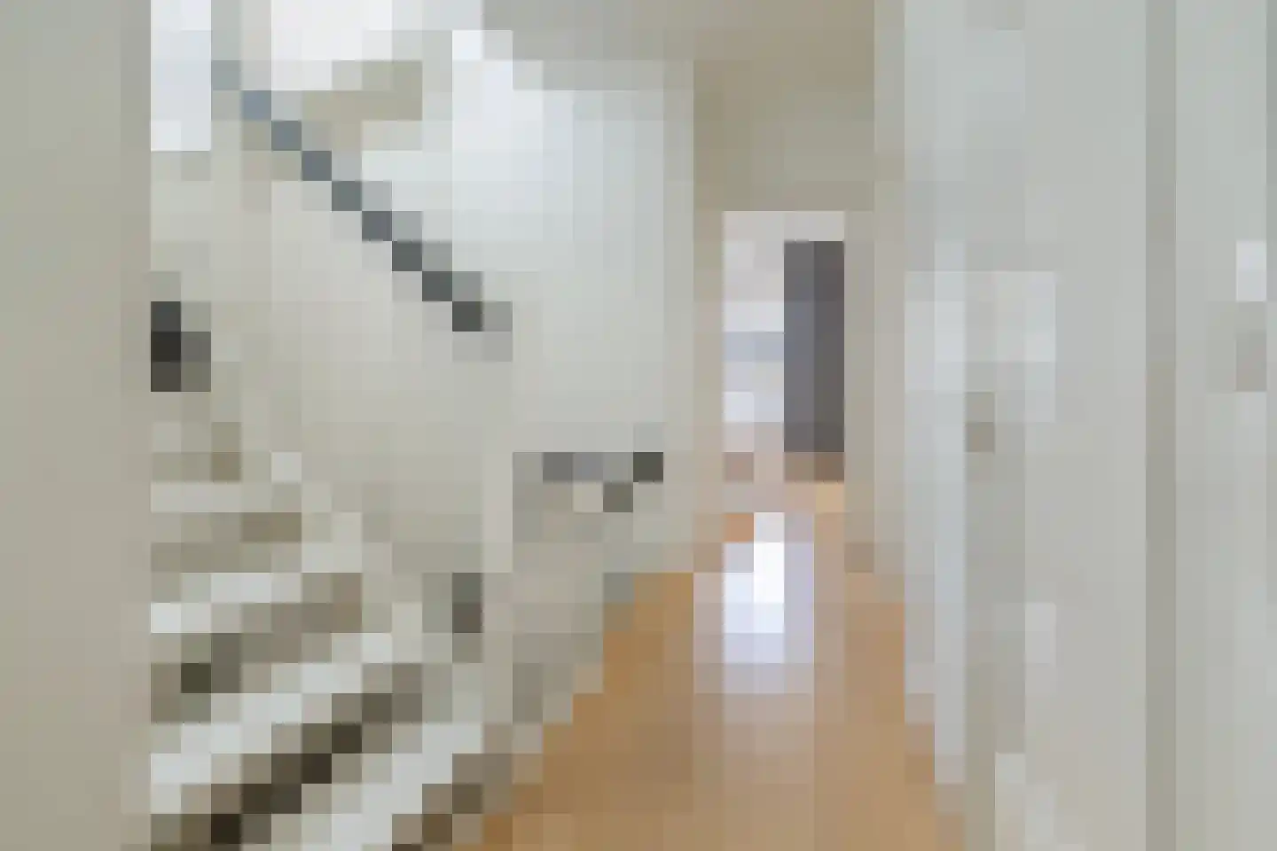 J.J. Viottastraat 21 2 Amsterdam thumbnail 44