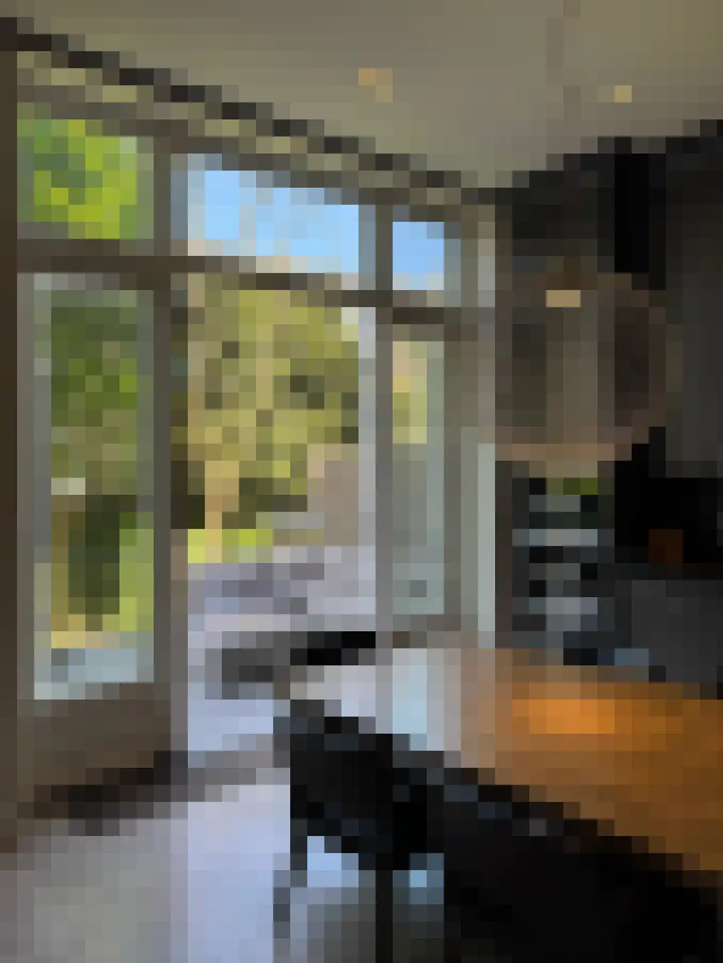 J.J. Viottastraat 46 Amsterdam thumbnail 16