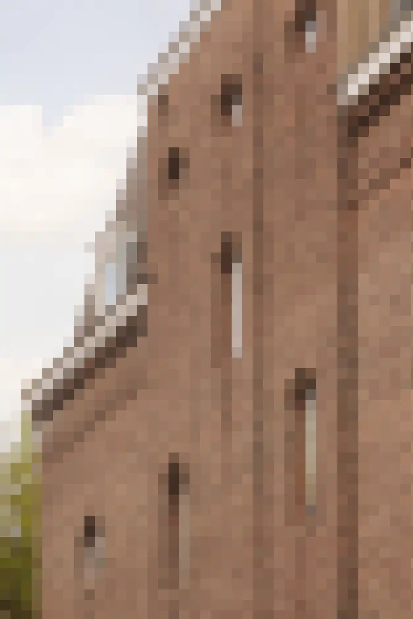 J.J. Viottastraat 50 Amsterdam thumbnail 15