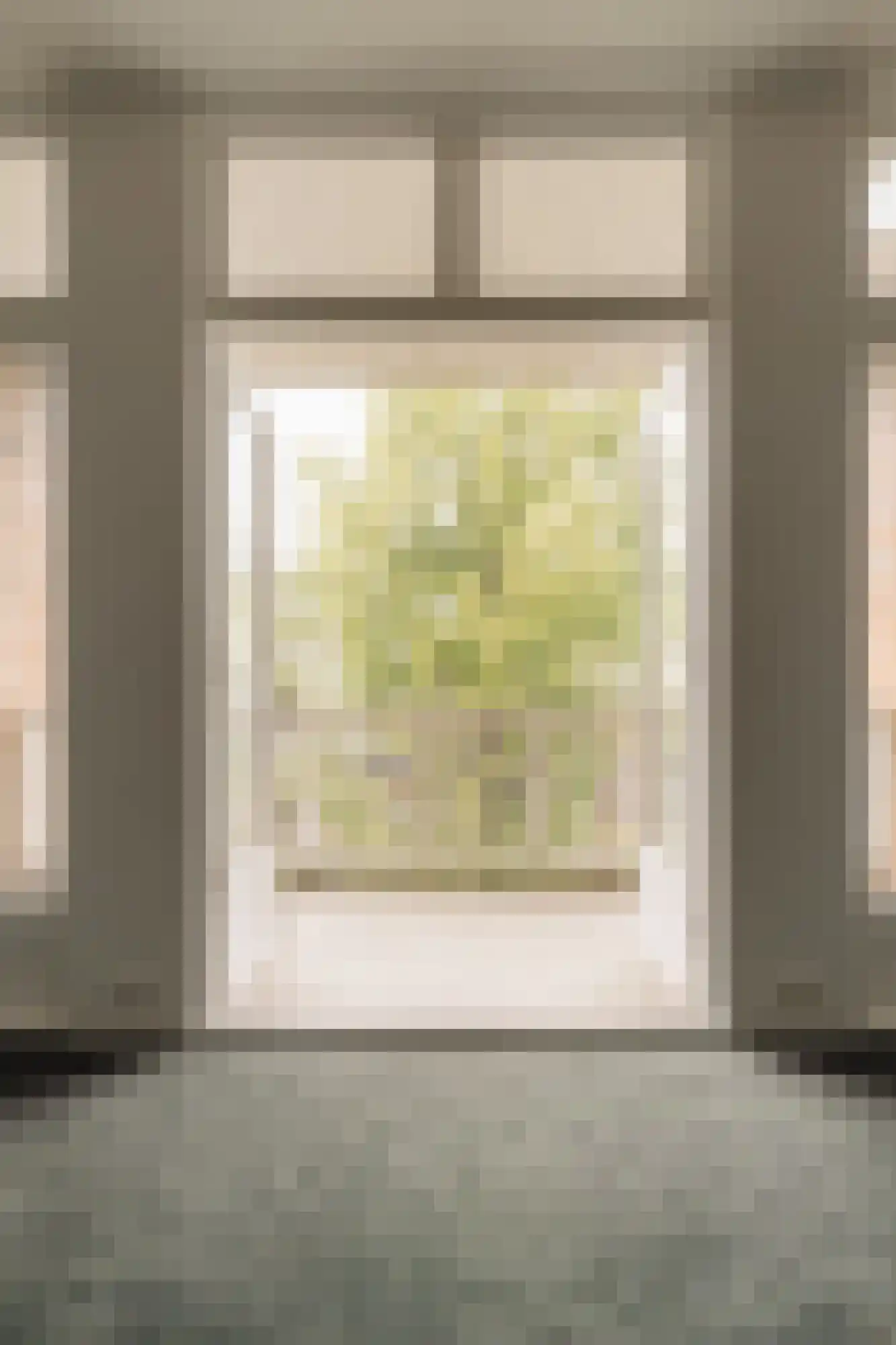 J.J. Viottastraat 50 Amsterdam thumbnail 51