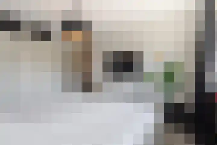 J.J. Vorrinkstraat 23 Papendrecht thumbnail 11