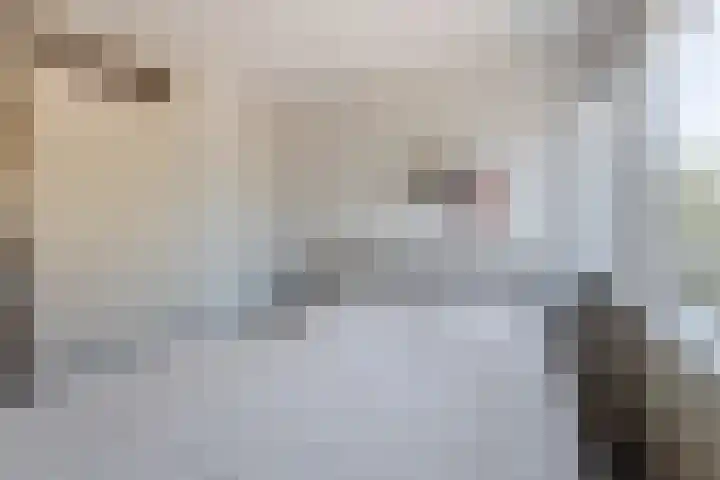 J.J. Vorrinkstraat 23 Papendrecht thumbnail 13