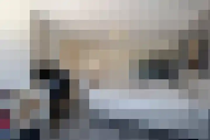 J.J. Vorrinkstraat 23 Papendrecht thumbnail 16