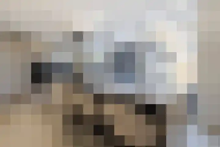 J.J. Vorrinkstraat 23 Papendrecht thumbnail 7