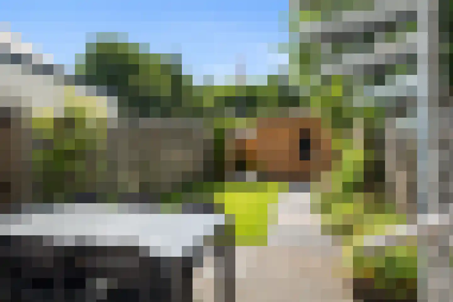 J.J. Vorrinkstraat 26 Papendrecht thumbnail 39