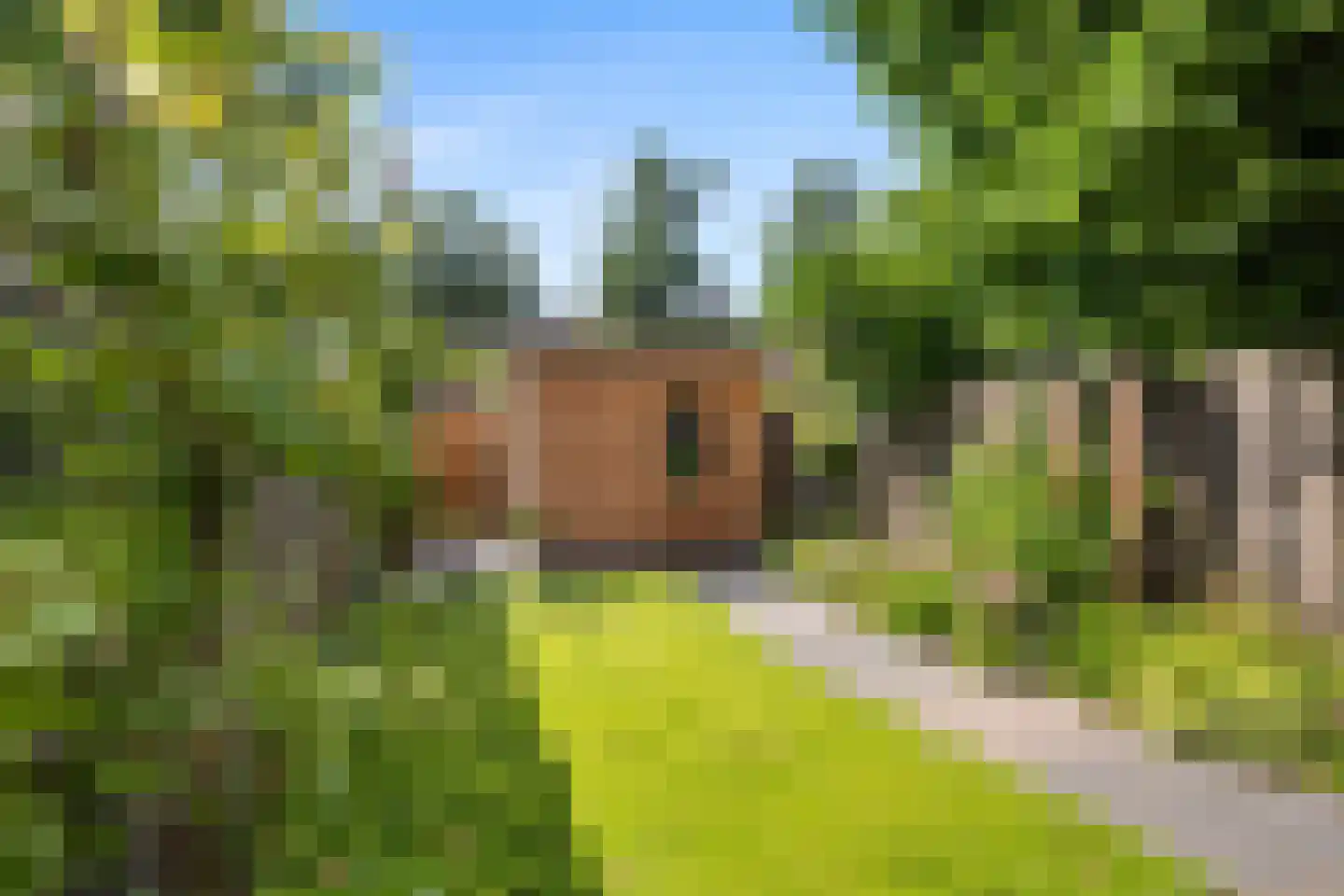 J.J. Vorrinkstraat 26 Papendrecht thumbnail 40
