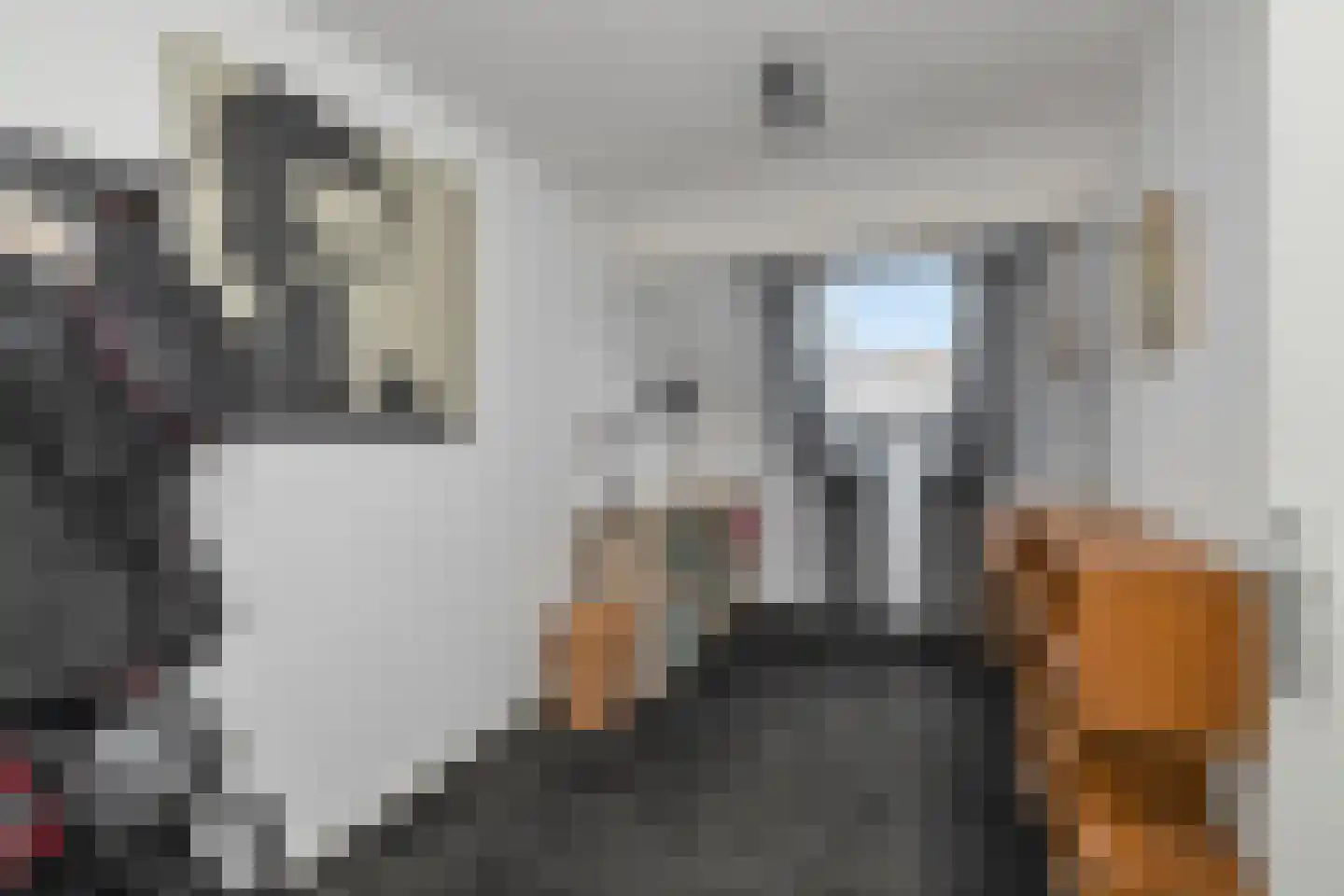 J.J. Wernerstraat 11 Barsingerhorn thumbnail 25