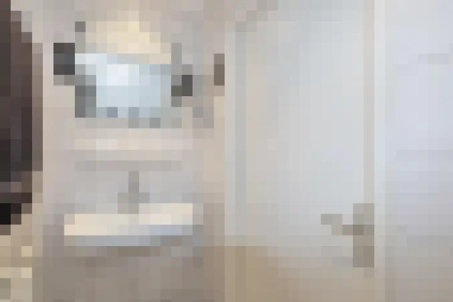 J.J. Wernerstraat 11 Barsingerhorn thumbnail 26