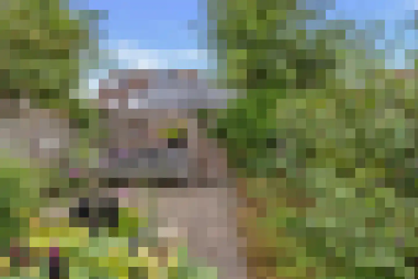J.J. Wernerstraat 11 Barsingerhorn thumbnail 29