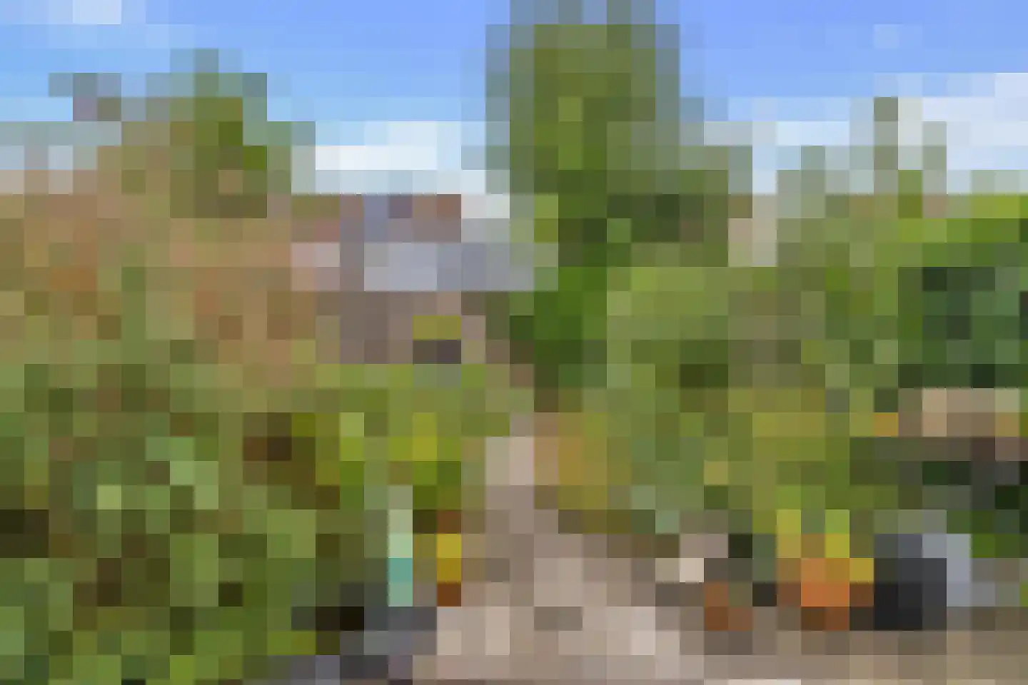 J.J. Wernerstraat 11 Barsingerhorn thumbnail 5