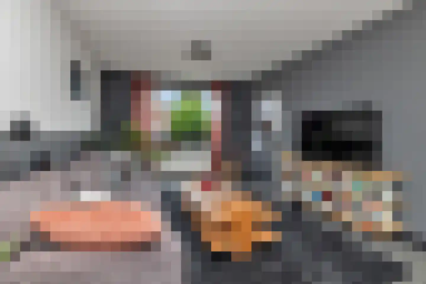 J.J. Wernerstraat 11 Barsingerhorn thumbnail 9