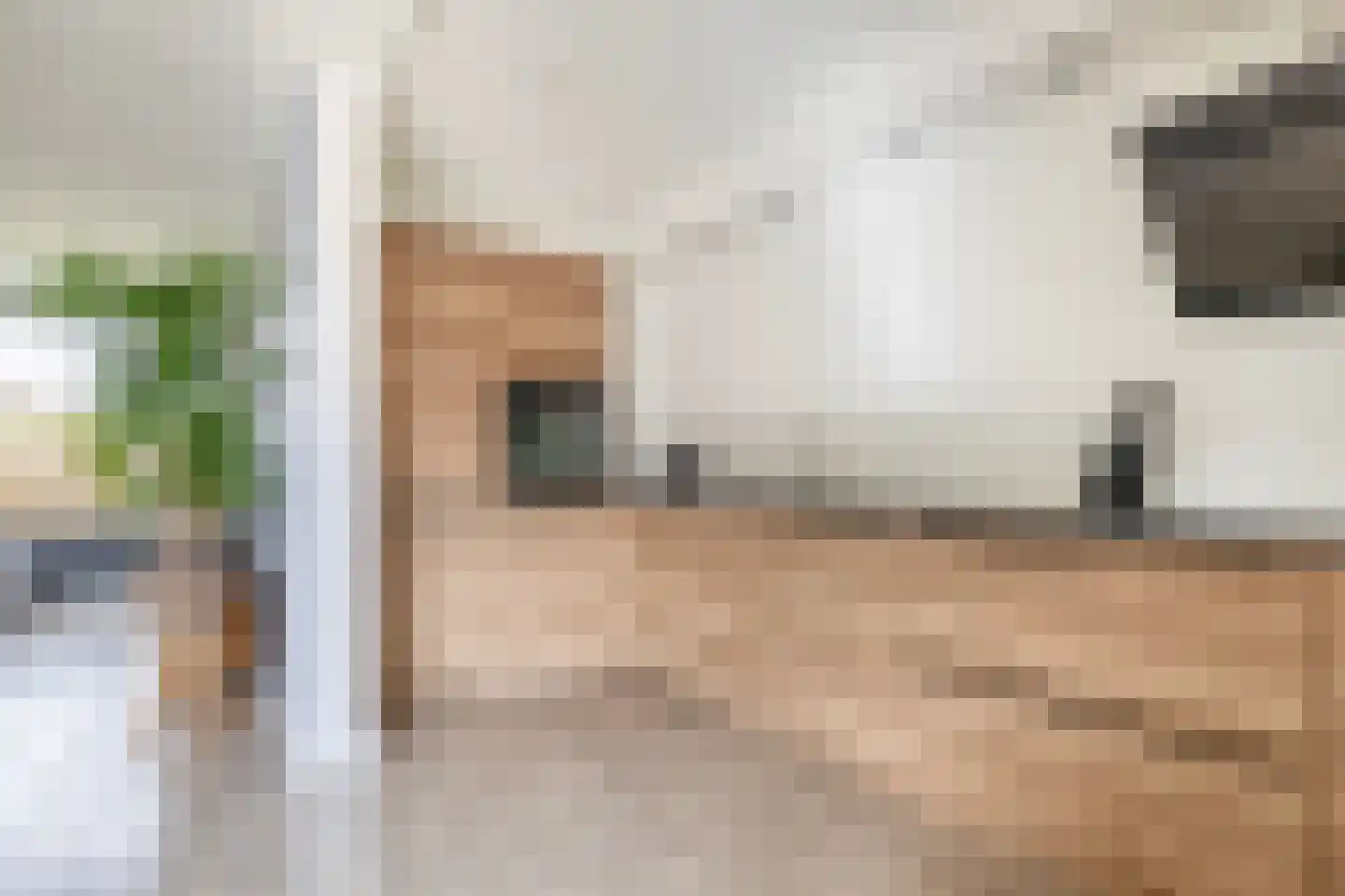 J.J. Wernerstraat 23 Barsingerhorn thumbnail 12