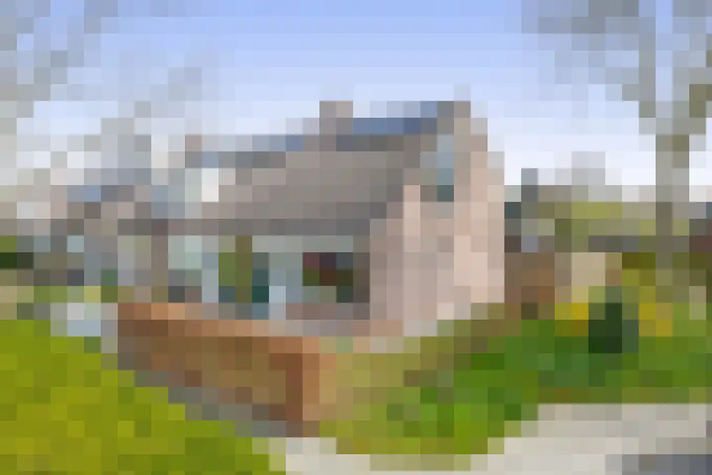 J.J. Wernerstraat 23 Barsingerhorn thumbnail 4