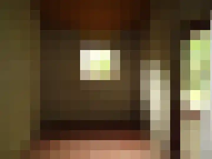 J.J. Wernerstraat 31 Barsingerhorn thumbnail 13