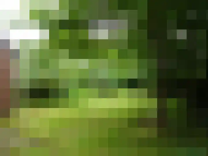 J.J. Wernerstraat 31 Barsingerhorn thumbnail 21
