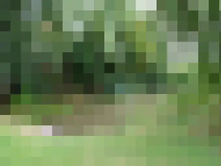 J.J. Wernerstraat 31 Barsingerhorn thumbnail 25