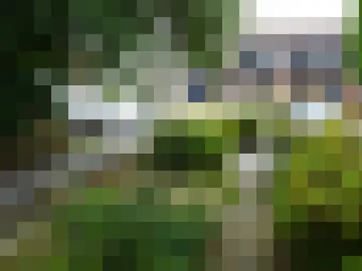 J.J. Wernerstraat 31 Barsingerhorn thumbnail 26