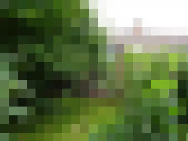 J.J. Wernerstraat 31 Barsingerhorn thumbnail 5
