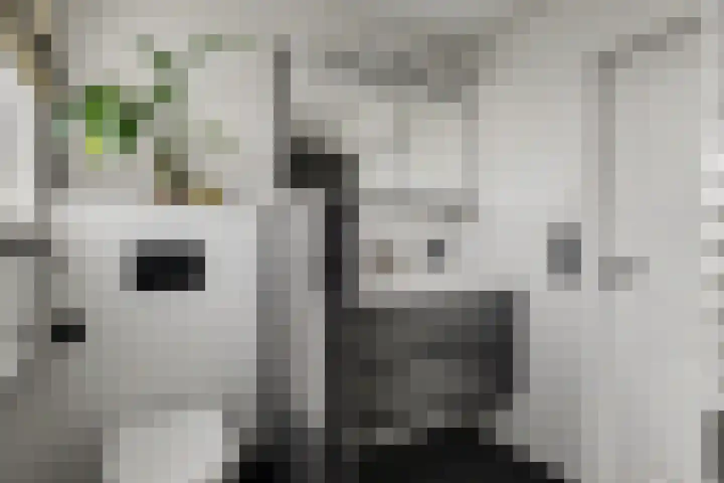 J.J. Wernerstraat 33 Barsingerhorn thumbnail 27