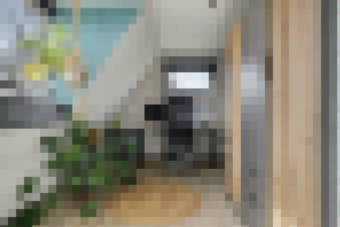 J.J. Wernerstraat 33 Barsingerhorn thumbnail 29