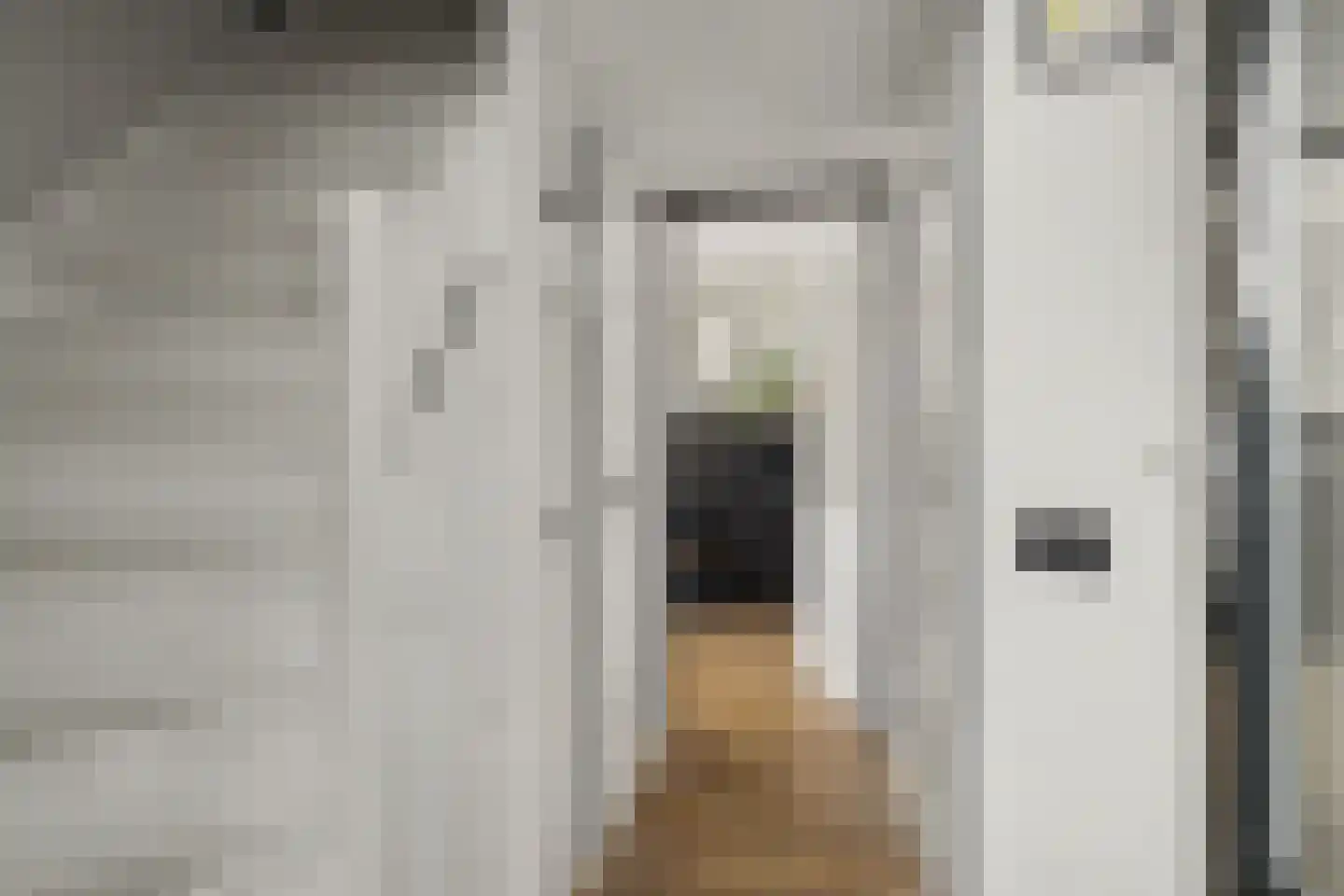 J.J. Wernerstraat 33 Barsingerhorn thumbnail 5