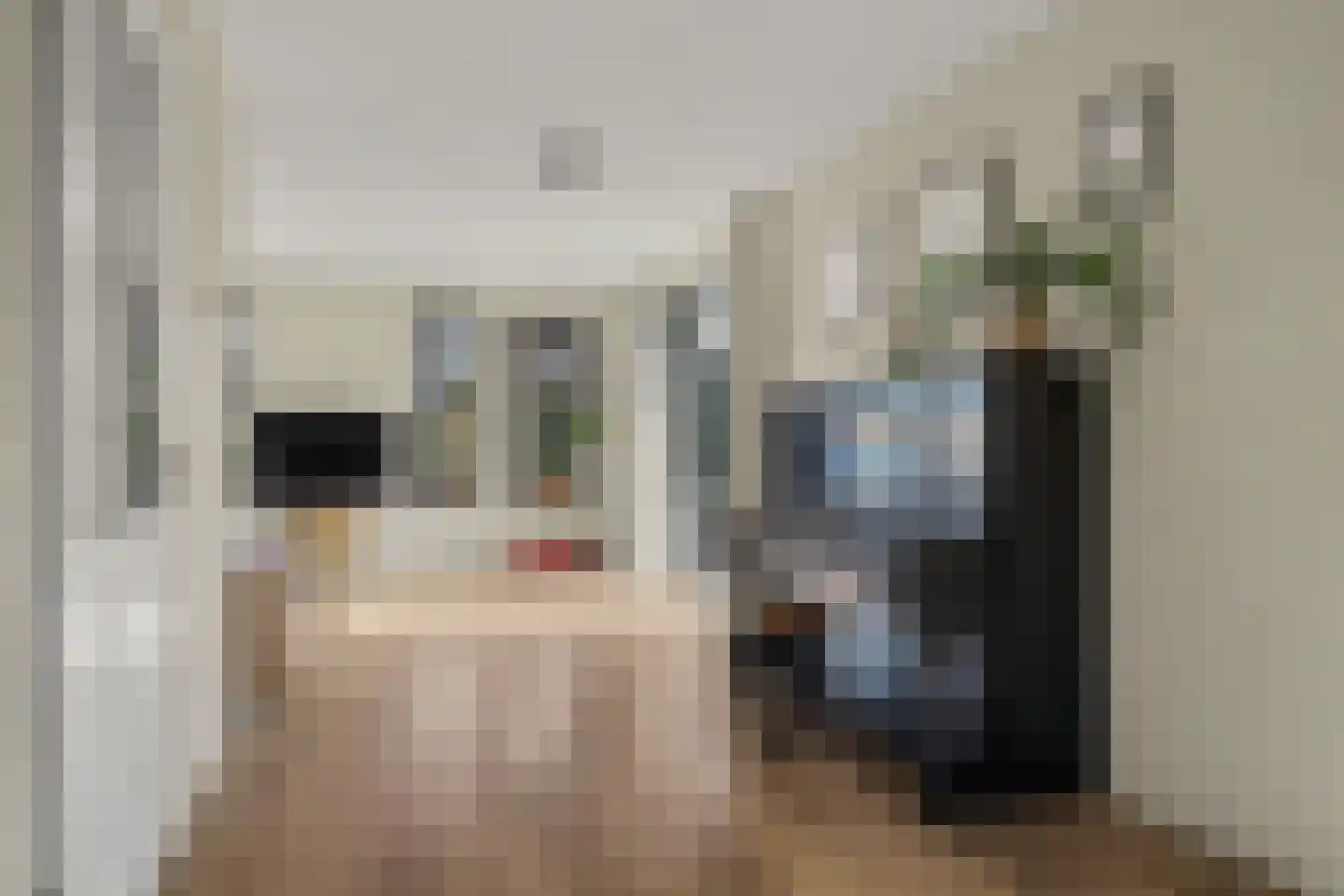 J.J. Wernerstraat 33 Barsingerhorn thumbnail 9