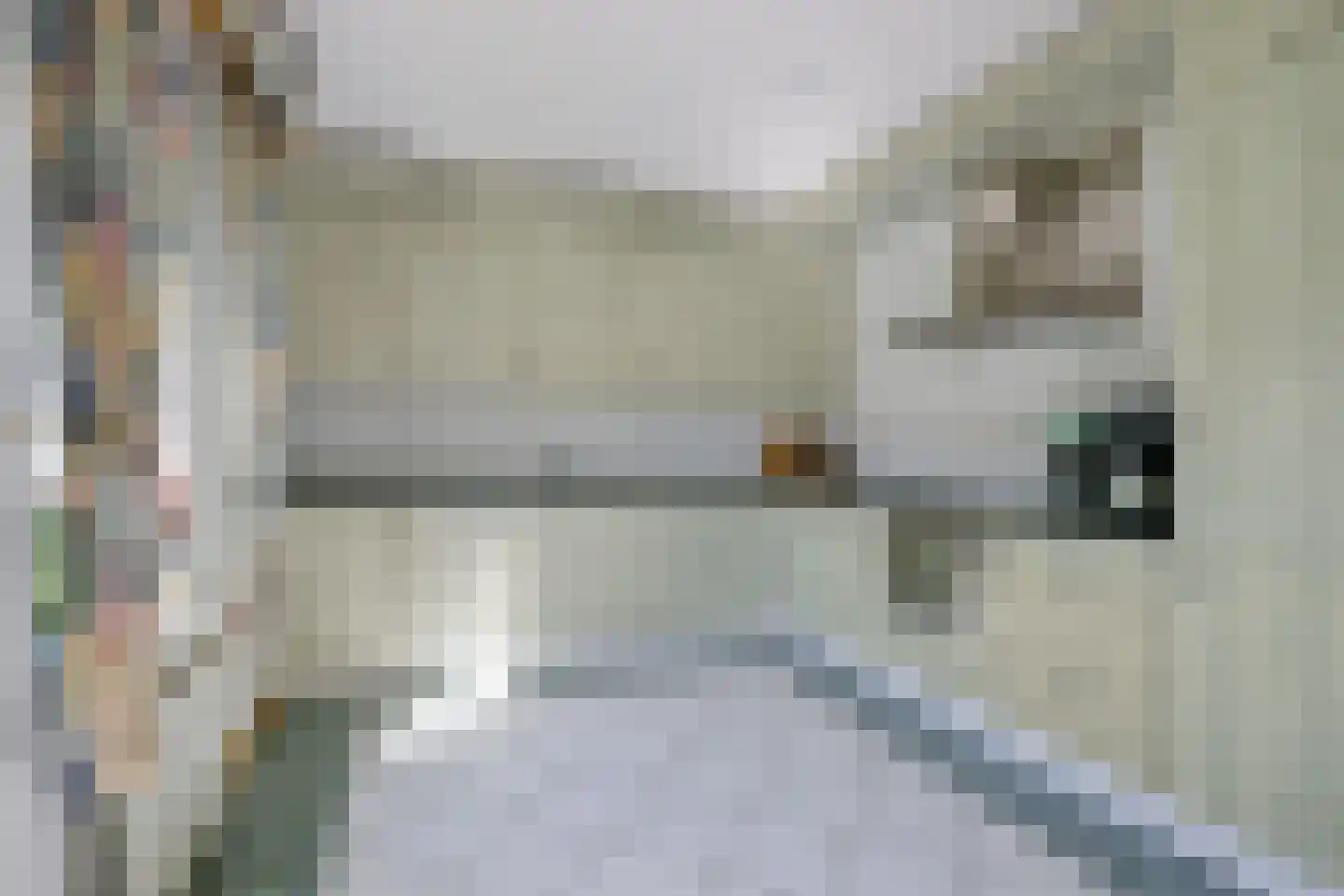 J.J. Wernerstraat 47 Barsingerhorn thumbnail 12