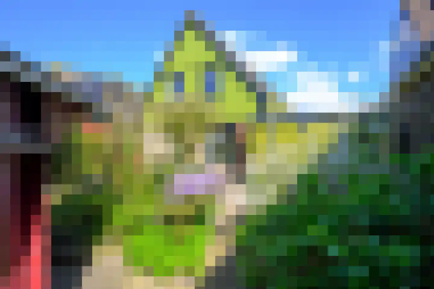J.J. Wernerstraat 47 Barsingerhorn thumbnail 19