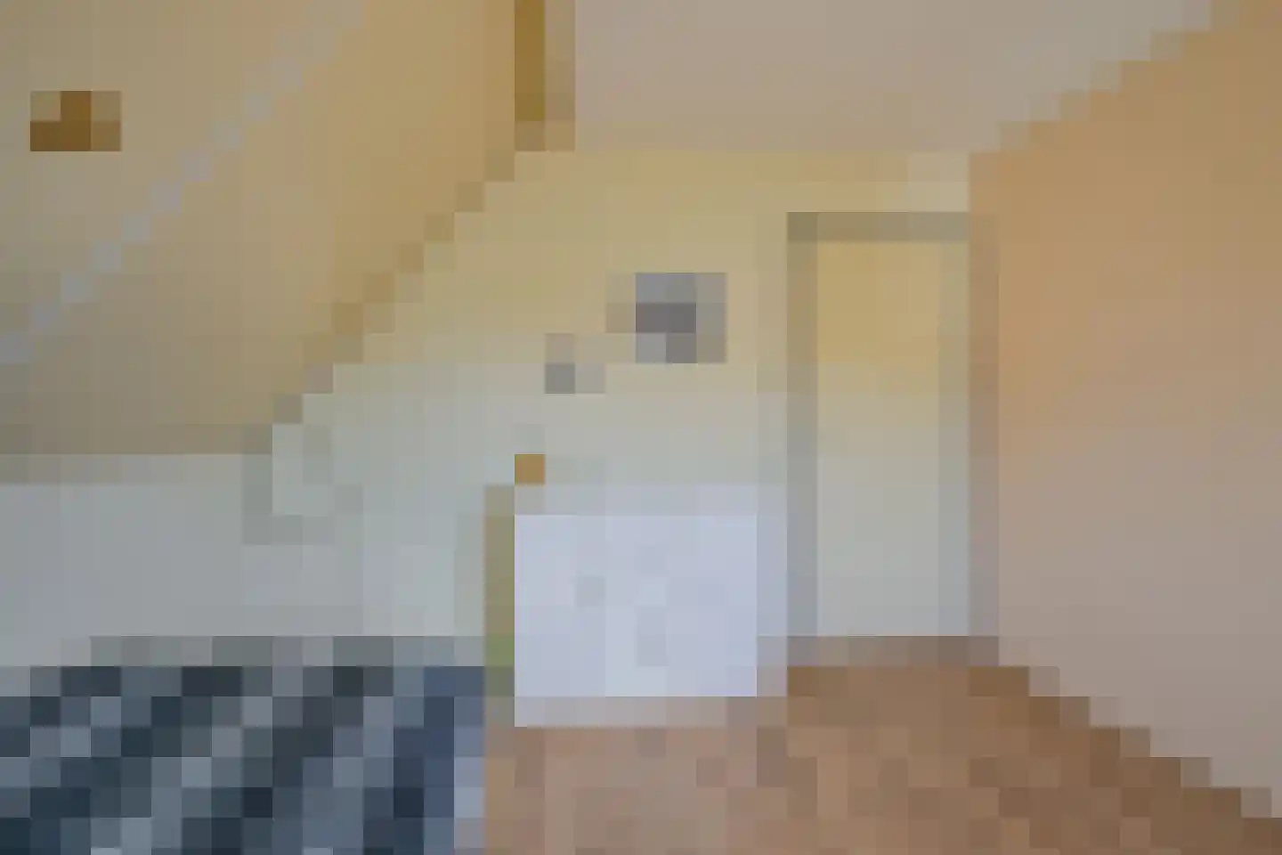 J.J. Wernerstraat 47 Barsingerhorn thumbnail 31