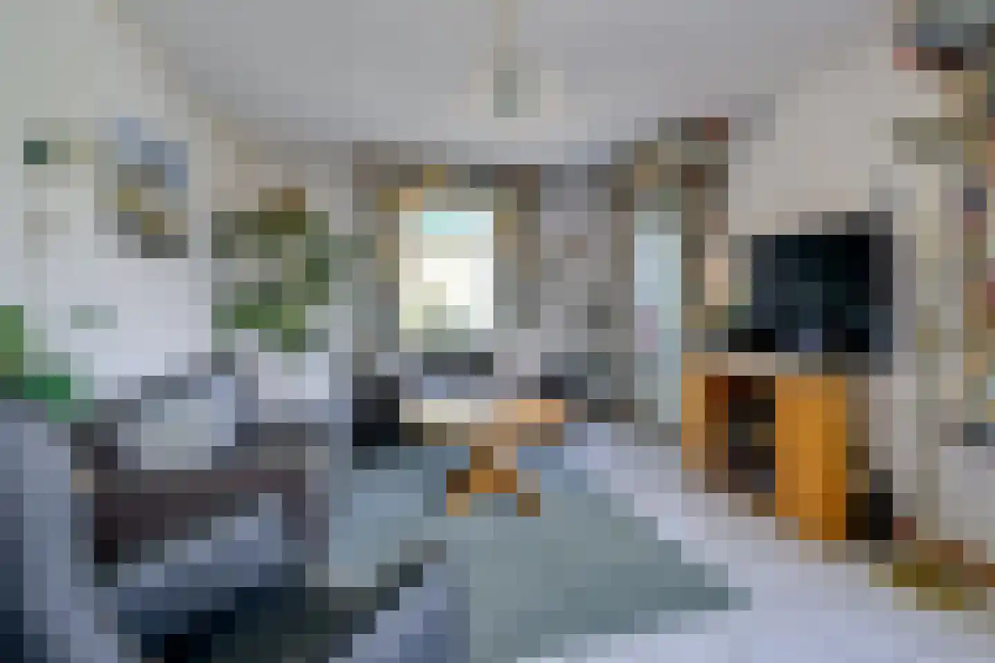 J.J. Wernerstraat 47 Barsingerhorn thumbnail 6