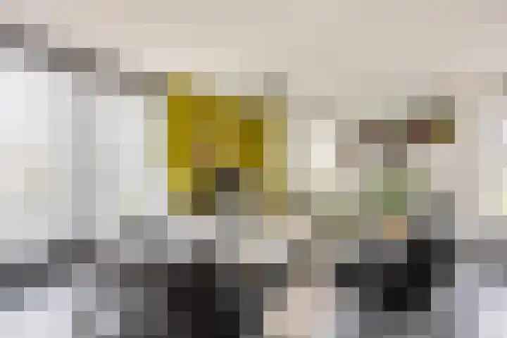 J.J. Willingestraat 11 Eenrum thumbnail 10