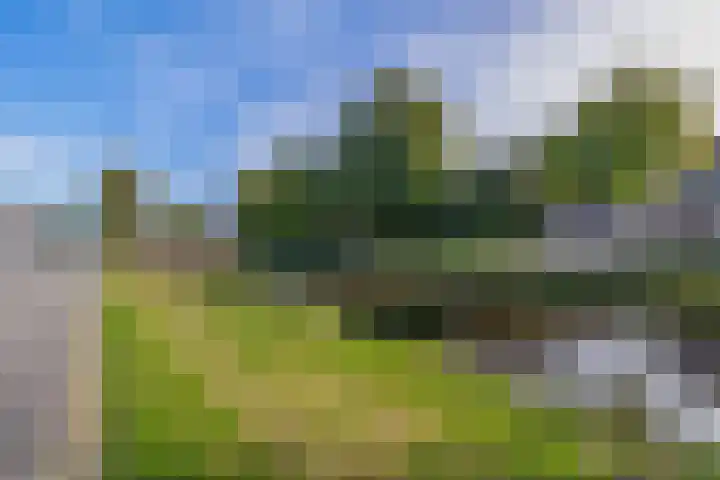 J. Kammingastraat 125 Wildervank thumbnail 31