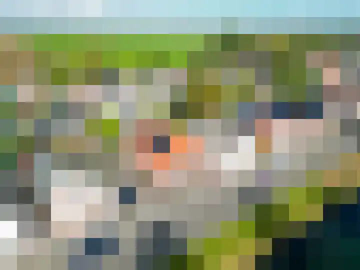 J. Kammingastraat 125 Wildervank thumbnail 32