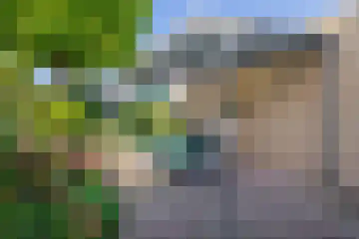 J. Kammingastraat 125 Wildervank thumbnail 5