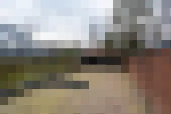 J. Kammingastraat 132 Wildervank thumbnail 32