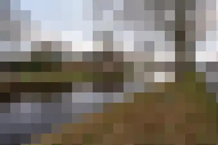 J. Kammingastraat 132 Wildervank thumbnail 37