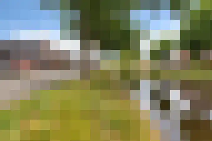 J. Kammingastraat 133 Wildervank thumbnail 37
