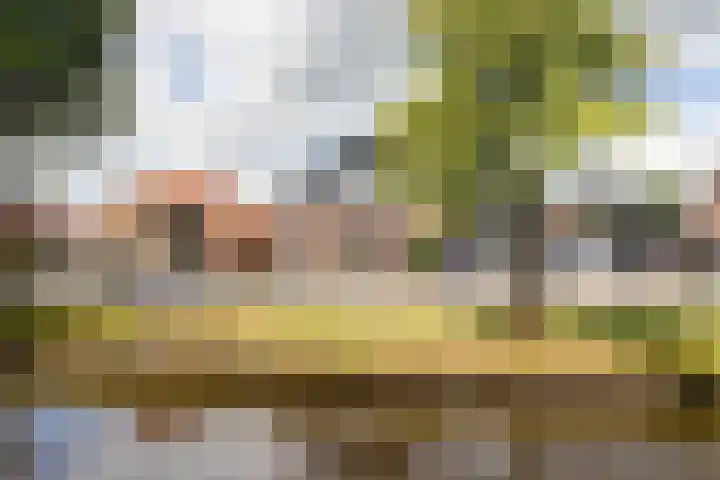 J. Kammingastraat 150 Wildervank thumbnail 38